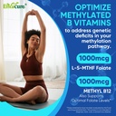 methylated-multivitamin-gummies-methylfo-3.jpg