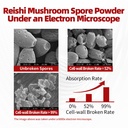 organic-reishi-mushroom-capsules-with-10-5.jpg