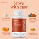 osteva-joint-support-supplement-for-wome-3.jpg