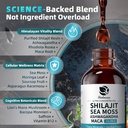 shilajit-liquid-drops-12-in-1-complex-se-3.jpg