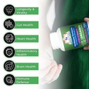 daily-vitality-organic-mushroom-suppleme-5.jpg