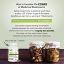 organixx-usda-organic-mushroom-supplemen-5.jpg