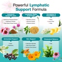 lymphatic-drainage-supplements-lymphatic-3.jpg