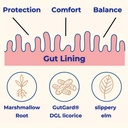 gut-health-digestive-support-supplement--5.jpg