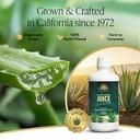 real-aloe-aloe-vera-juice-32-fl-oz-handc-3.jpg