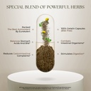 dr-clark-store-wormwood-super-w-blend-33-3.jpg