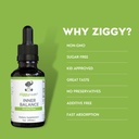 ziggy-health-inner-balance-tincture-inte-2.jpg