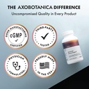 kidney-cleanse-detox-repair-vitamin-b6-m-2.jpg