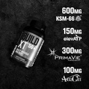 jacked-factory-build-xt-50-daily-muscle--5.jpg