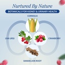 snap-supplements-kidney-health-support-s-3.jpg