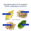 professional-botanicals-kidney-support-s-3.jpg