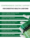 digestive-support-supplement-natural-her-2.jpg