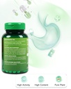 digestive-support-supplement-natural-her-6.jpg