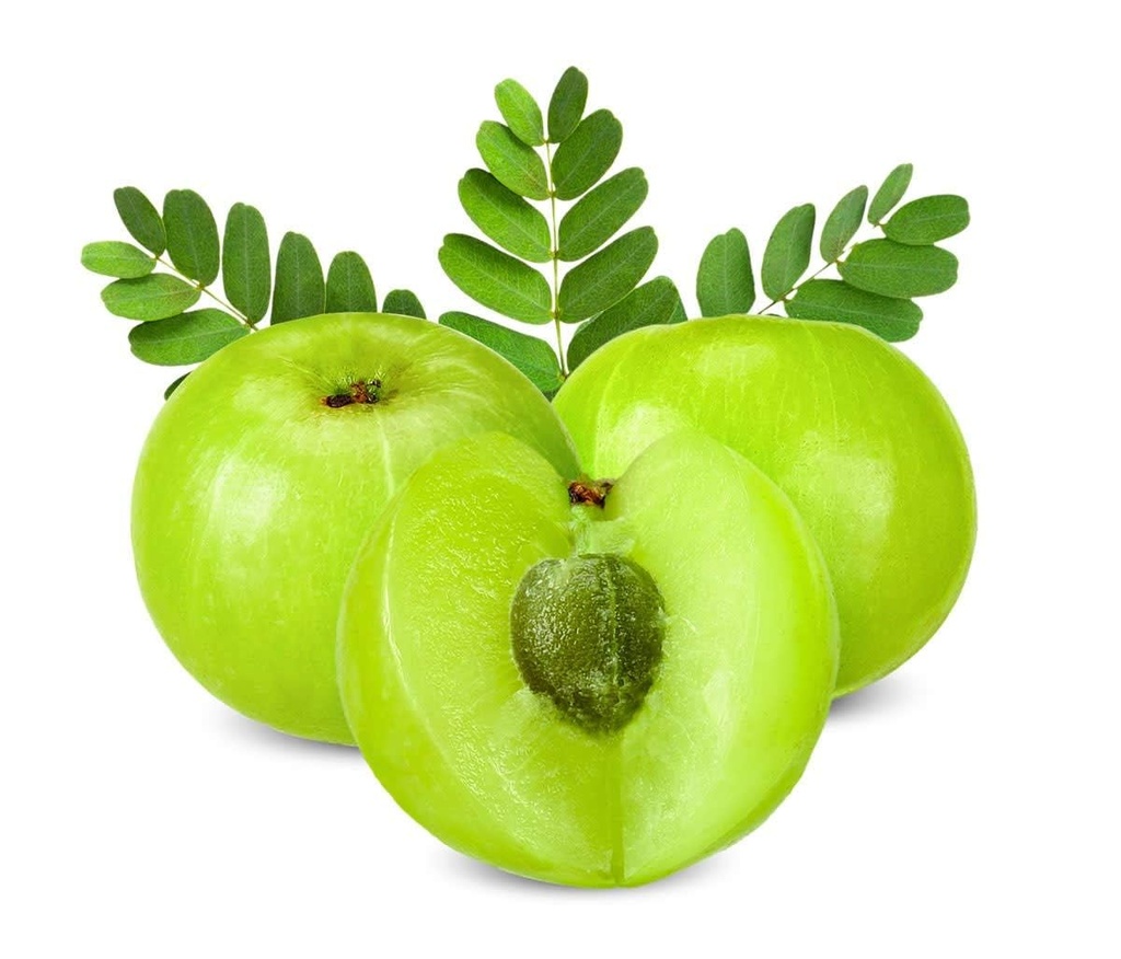 dr-herbalist-amla-powder-200g-pure-phyll-6.jpg