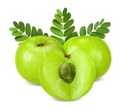 dr-herbalist-amla-powder-200g-pure-phyll-6.jpg