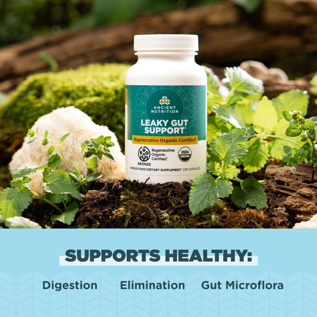 ancient-nutrition-gut-health-supplement--3.jpg