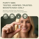 nmn-supplement-1000mg-99-pure-organic-ce-5.jpg