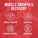 purus-labs-foundation-series-glutamine-p-3.jpg