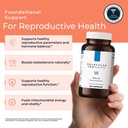 male-preconception-fertility-supplements-3.jpg