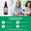 herbalist-alchemist-ashwagandha-extract--4.jpg