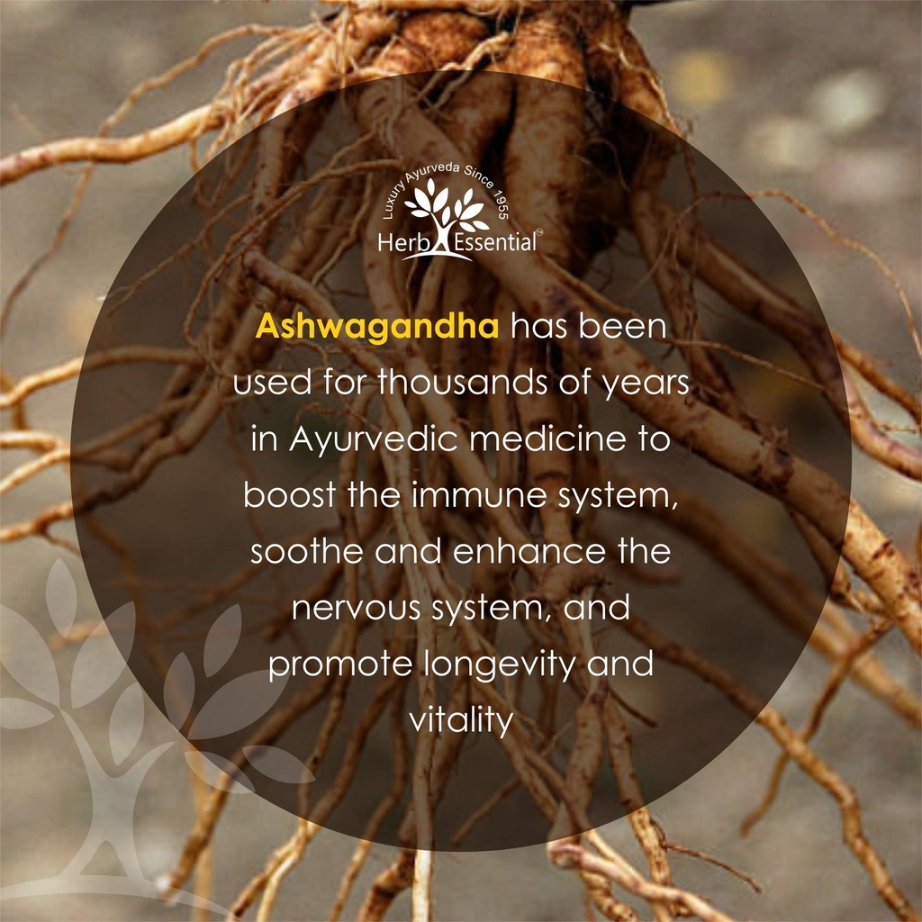 herb-essential-organic-ashwagandha-root--5.jpg