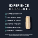 nootropic-supplement-focus-memory-booste-5.jpg