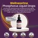 wellnessone-ionic-phosphorus-supplements-4.jpg
