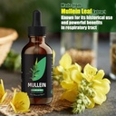 yumoyi-chlorophyllmullein-drops-for-lung-5.jpg