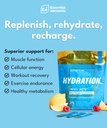 essential-elements-hydration-packets-blu-3.jpg