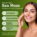 atlantic-naturals-sea-moss-7-colon-clean-2.jpg