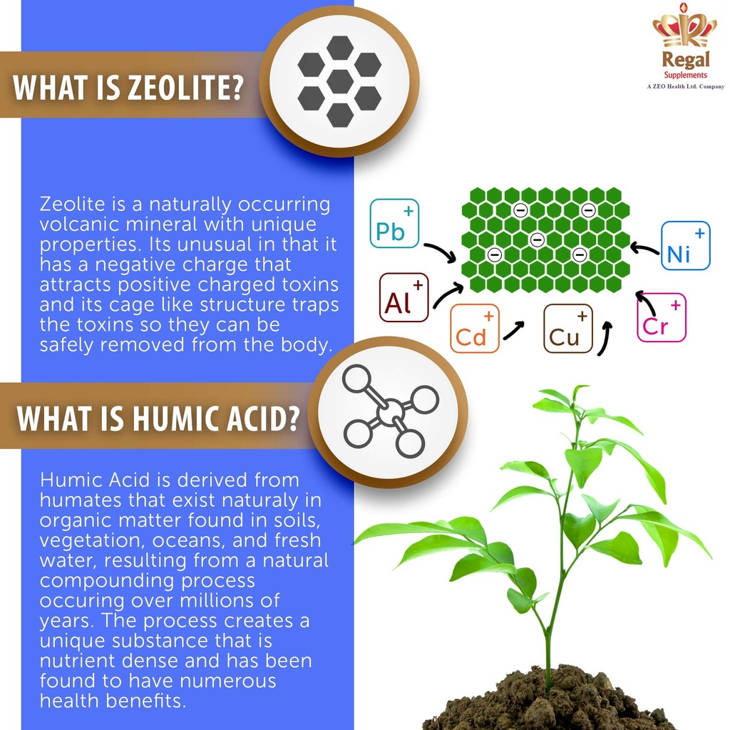 zeolite-av-capsules-potent-immune-system-4.jpg