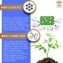 zeolite-av-capsules-potent-immune-system-4.jpg