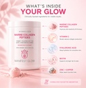 marine-collagen-peptides-dragon-fruit-co-4.jpg