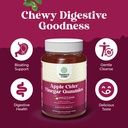 acv-apple-cider-vinegar-gummies-natural--5.jpg