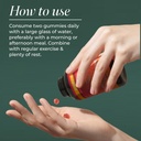 primal-harvest-acv-gummies-60-sugar-free-4.jpg