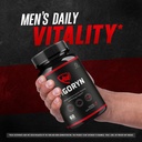 3-pack-vigoryn-capsules-official-vigoryn-2.jpg