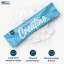routine-creatine-3rd-party-tested-micron-3.jpg