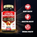 mecisco-11-in-1-citrus-bergamot-suppleme-3.jpg