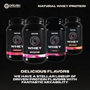 driven-whey-grass-fed-whey-protein-powde-6.jpg