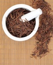 cedar-bear-gut-flora-friend-for-kids-a-l-4.jpg