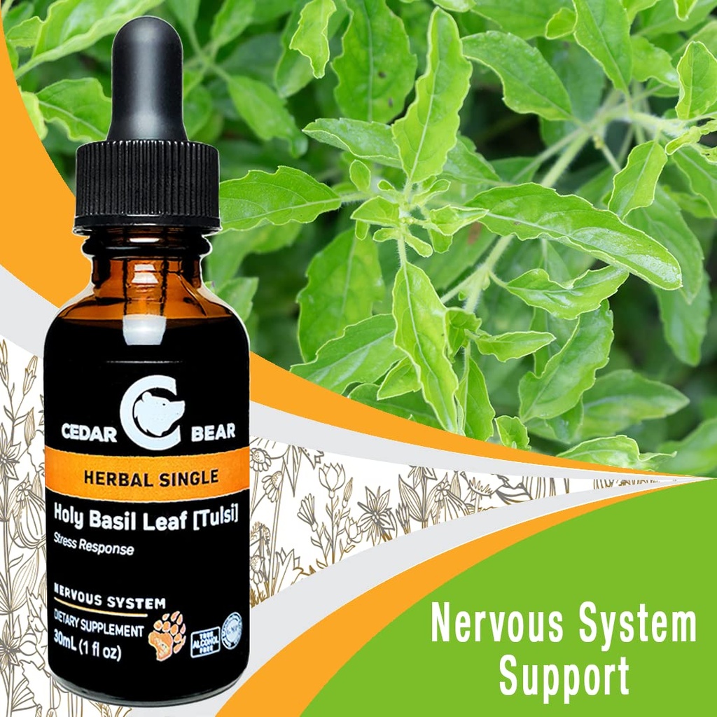 cedar-bear-holy-basil-leaf-a-liquid-herb-3.jpg