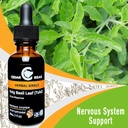 cedar-bear-holy-basil-leaf-a-liquid-herb-3.jpg