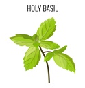 cedar-bear-holy-basil-leaf-a-liquid-herb-6.jpg