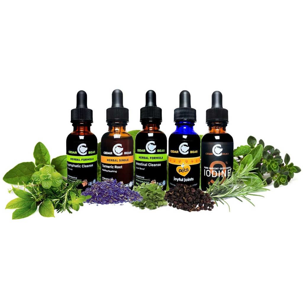 cedar-bear-holy-basil-leaf-a-liquid-herb-4.jpg