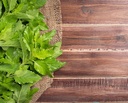 cedar-bear-holy-basil-leaf-a-liquid-herb-5.jpg