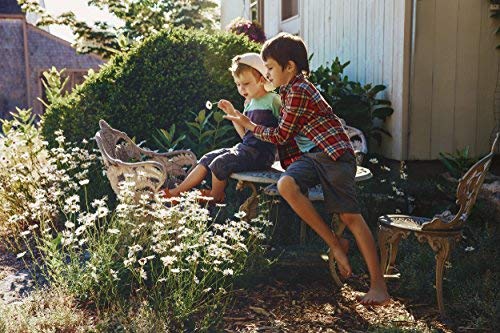 cedar-bear-immune-blast-off-for-kids-a-l-4.jpg