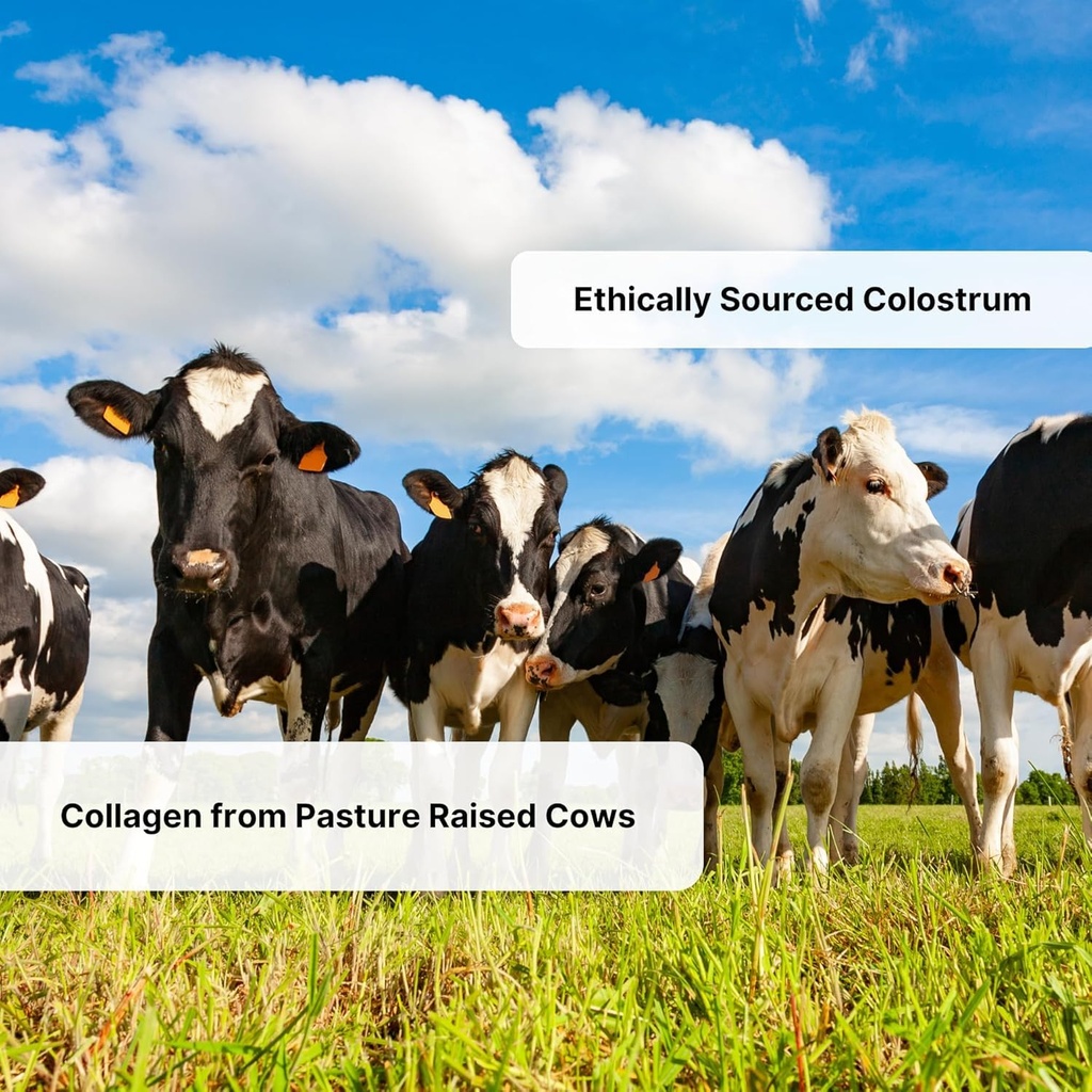 grass-fed-colostrum-collagen-peptides-wi-6.jpg