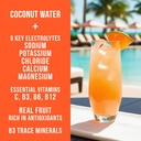 hydrating-electrolyte-drink-mix-mango-ta-2.jpg