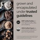 organic-mushroom-supplement-cognitive-no-6.jpg