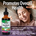 nature-s-answer-burdock-root-herbal-supp-4.jpg